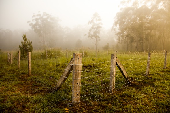 Organic Garden with Upcycled Fence Posts