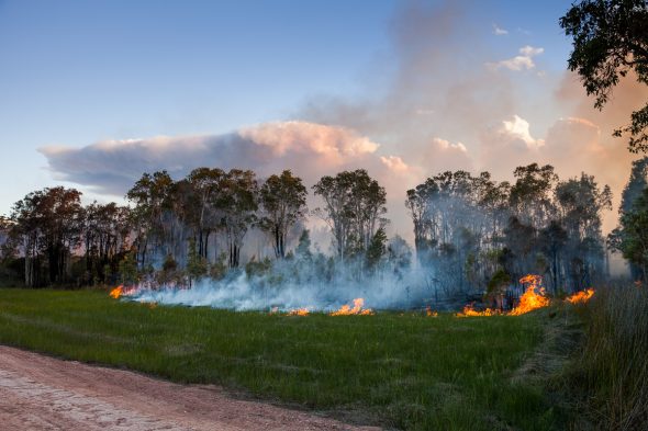 Big Hill Trail Bushfire Crescent Head 2017