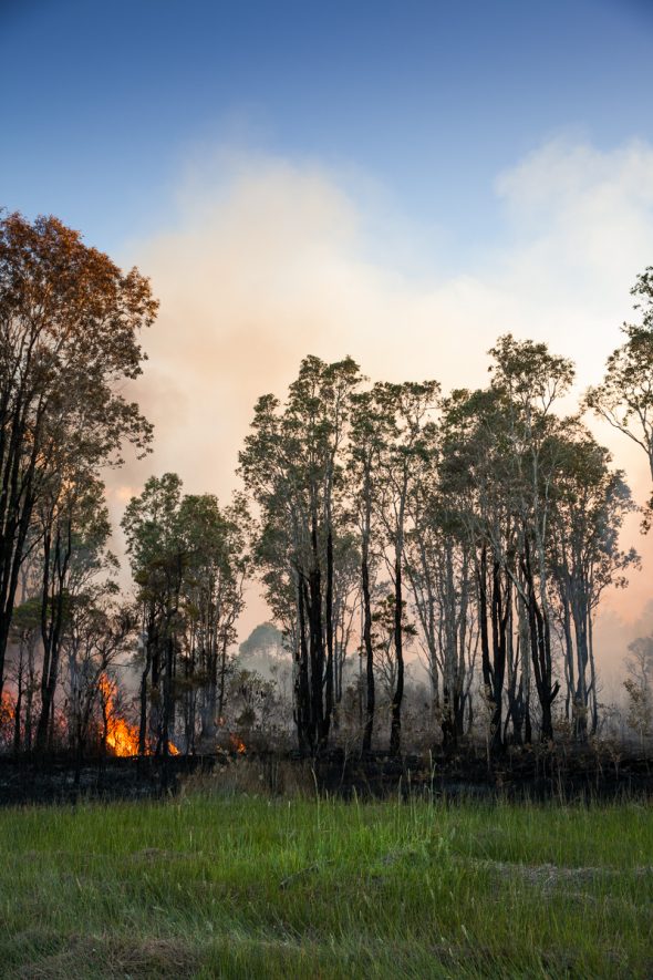 Big Hill Trail Bushfire Crescent Head 2017