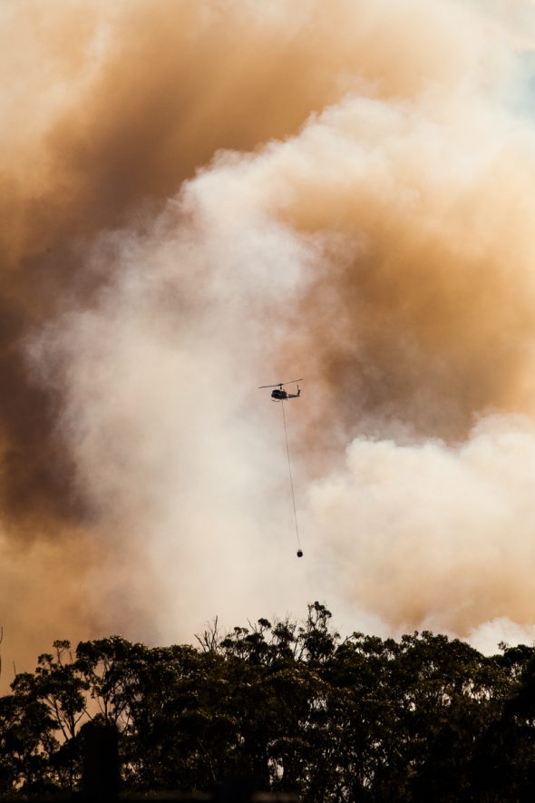 Big Hill Trail Bushfire Crescent Head 2017