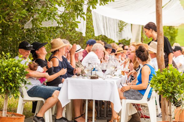 Tastings on Hastings event Meals in the Fields by Alicia Fox, Port Macquarie Photographer