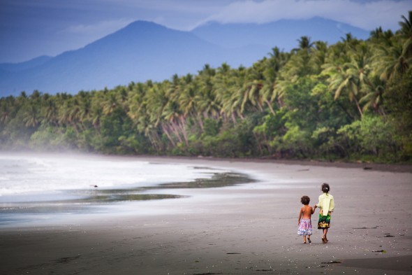 Beach, Coconut Plantation, Rainforest and Mountains