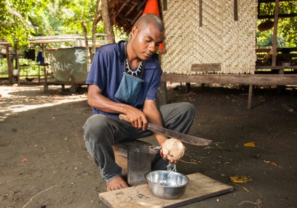 Coconut processing in PNG Alicia Fox Photography