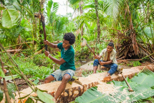 Traditional sago production by Alicia Fox Photography