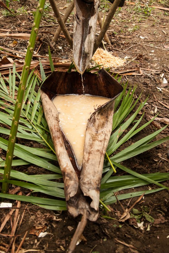 Traditional Sago Production by Alicia Fox Photography